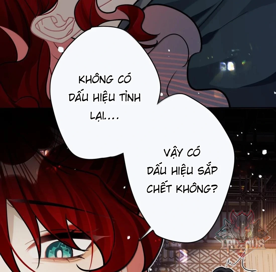 Quấn Quýt Chapter 38 - 56