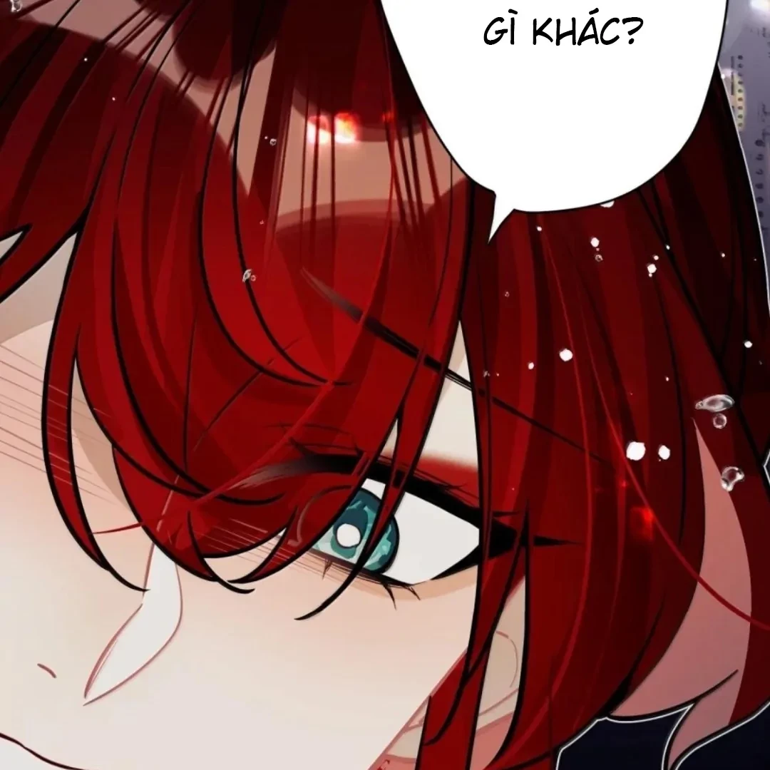 Quấn Quýt Chapter 40 - 68