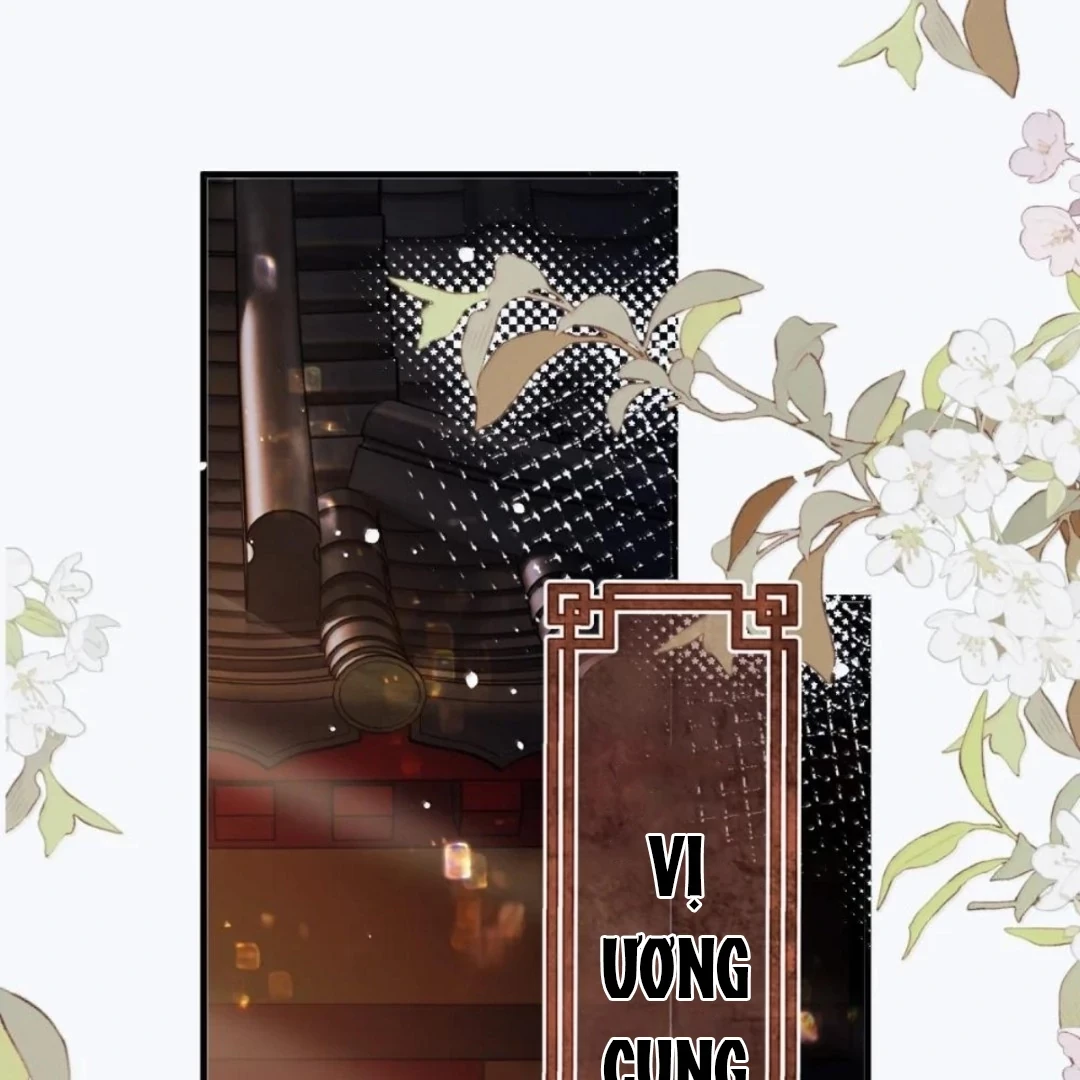 Quấn Quýt Chapter 41 - 37