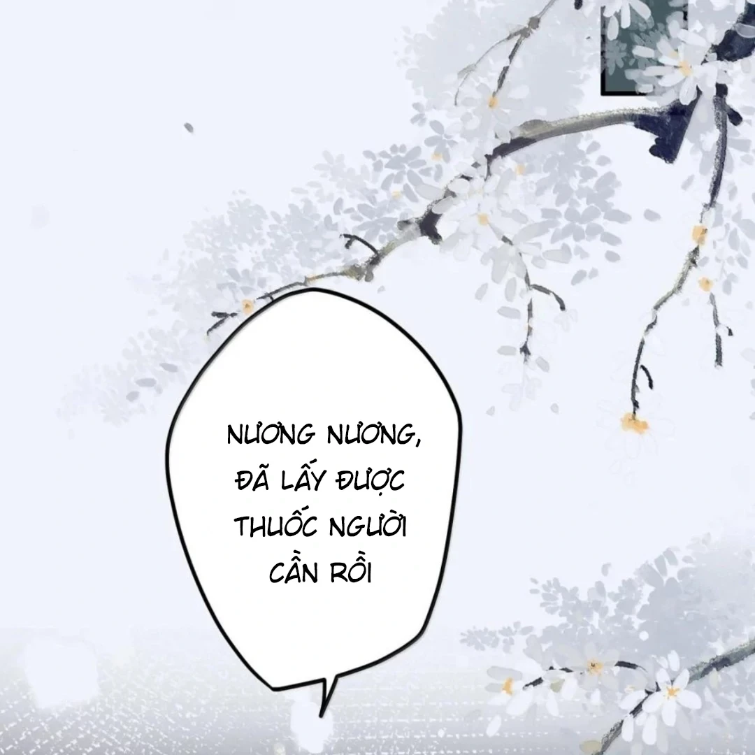 Quấn Quýt Chapter 42 - 33