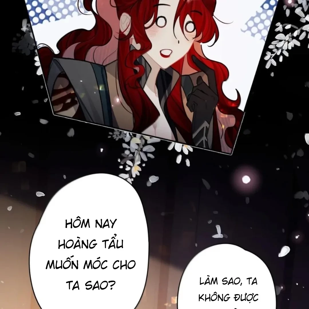 Quấn Quýt Chapter 43 - 61