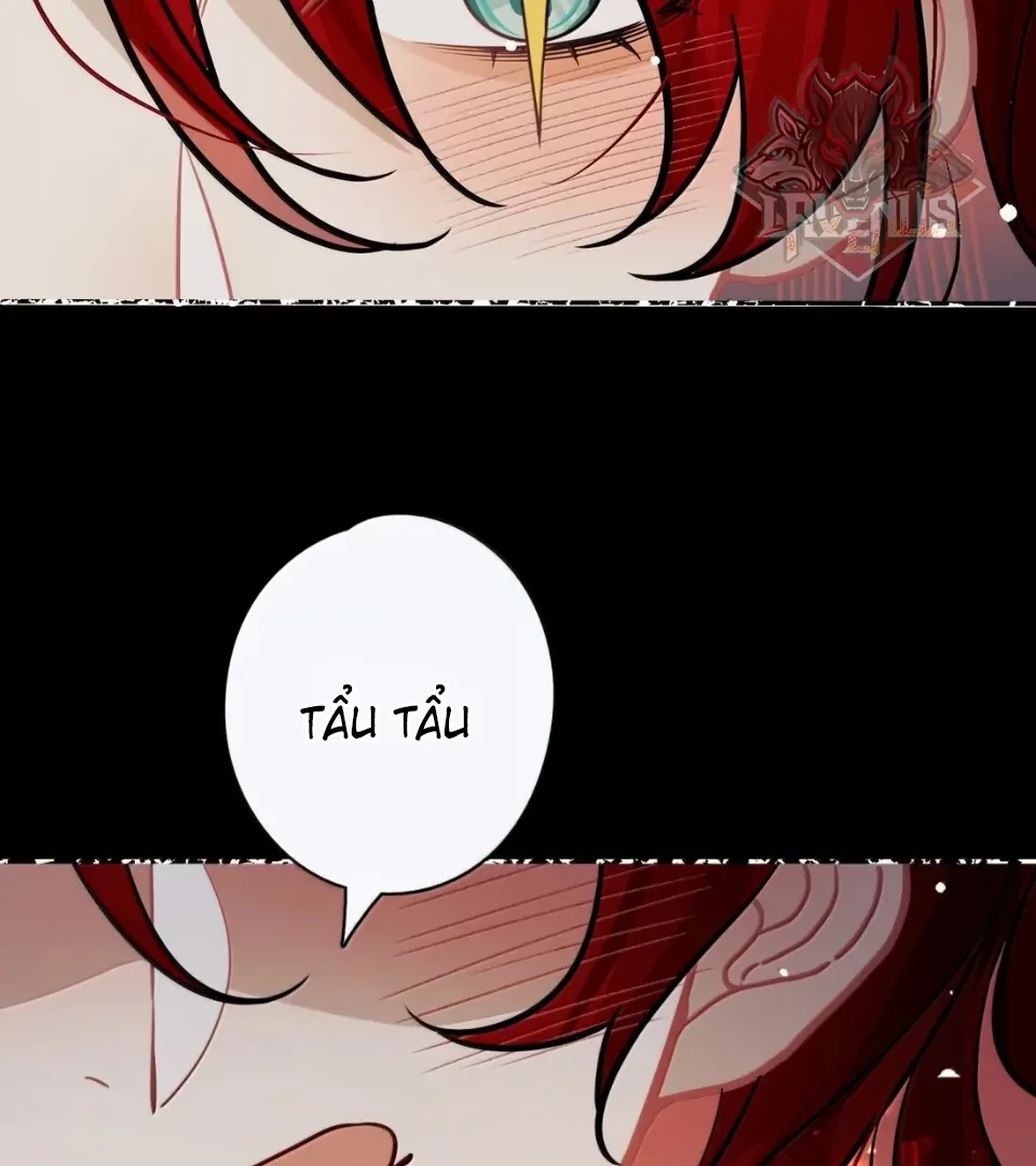 Quấn Quýt Chapter 46 - 20