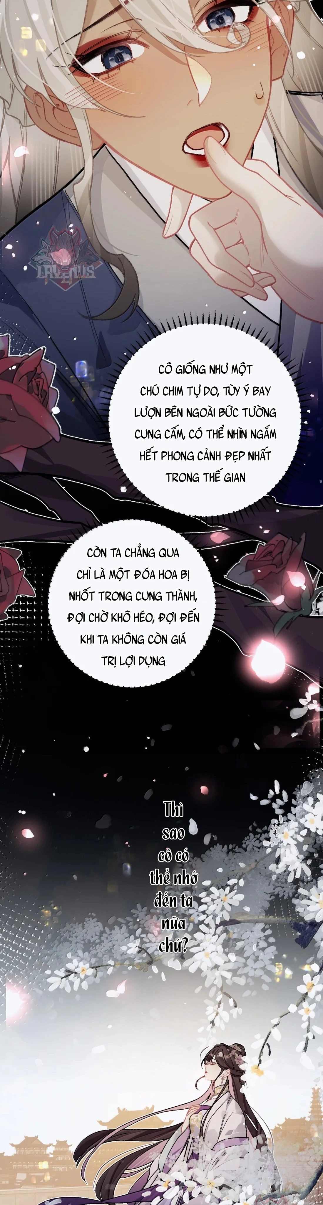 Quấn Quýt Chapter 72 - 15