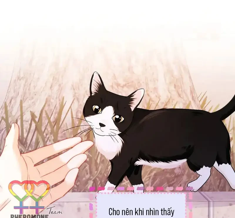 Giúp Tôi Vỗ Vỗ Chapter 37 - 25