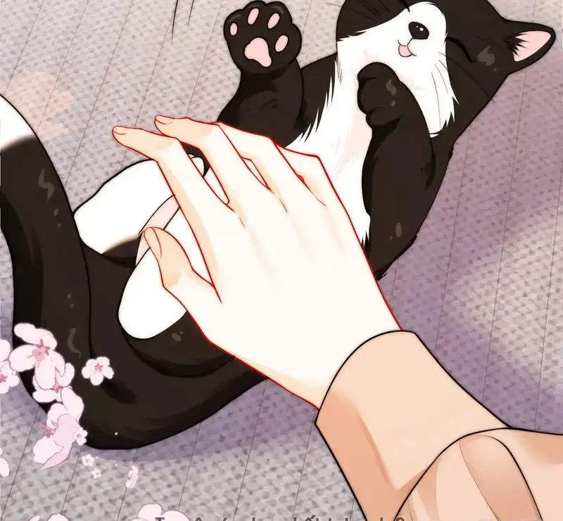 Giúp Tôi Vỗ Vỗ Chapter 40 - 44