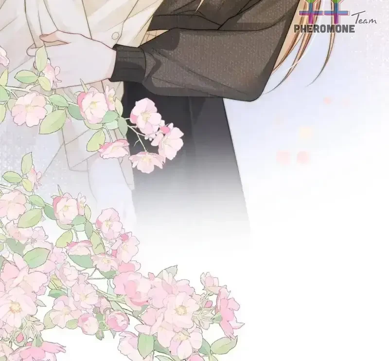 Giúp Tôi Vỗ Vỗ Chapter 50 - 73