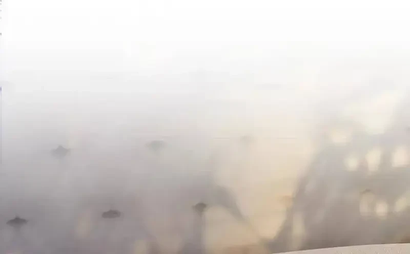 Giúp Tôi Vỗ Vỗ Chapter 51 - 64