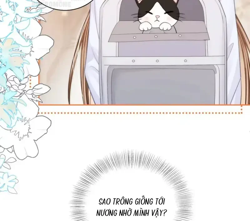 Giúp Tôi Vỗ Vỗ Chapter 57 - 64