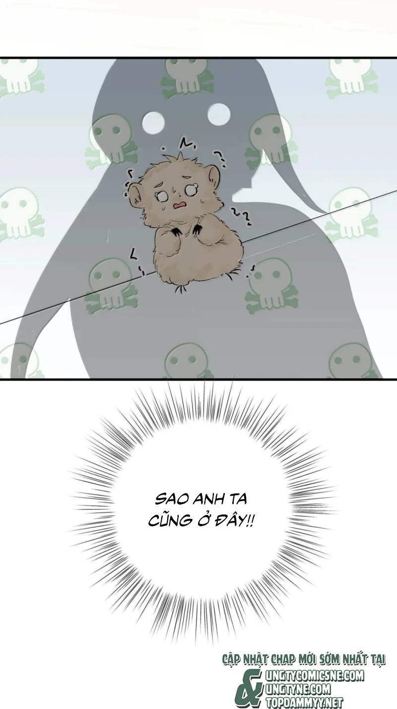 Ngày Nào Cũng Muốn Làm Vương Tủ Bệnh Kiều Phải Xấu Hổ Chapter 38 - 49