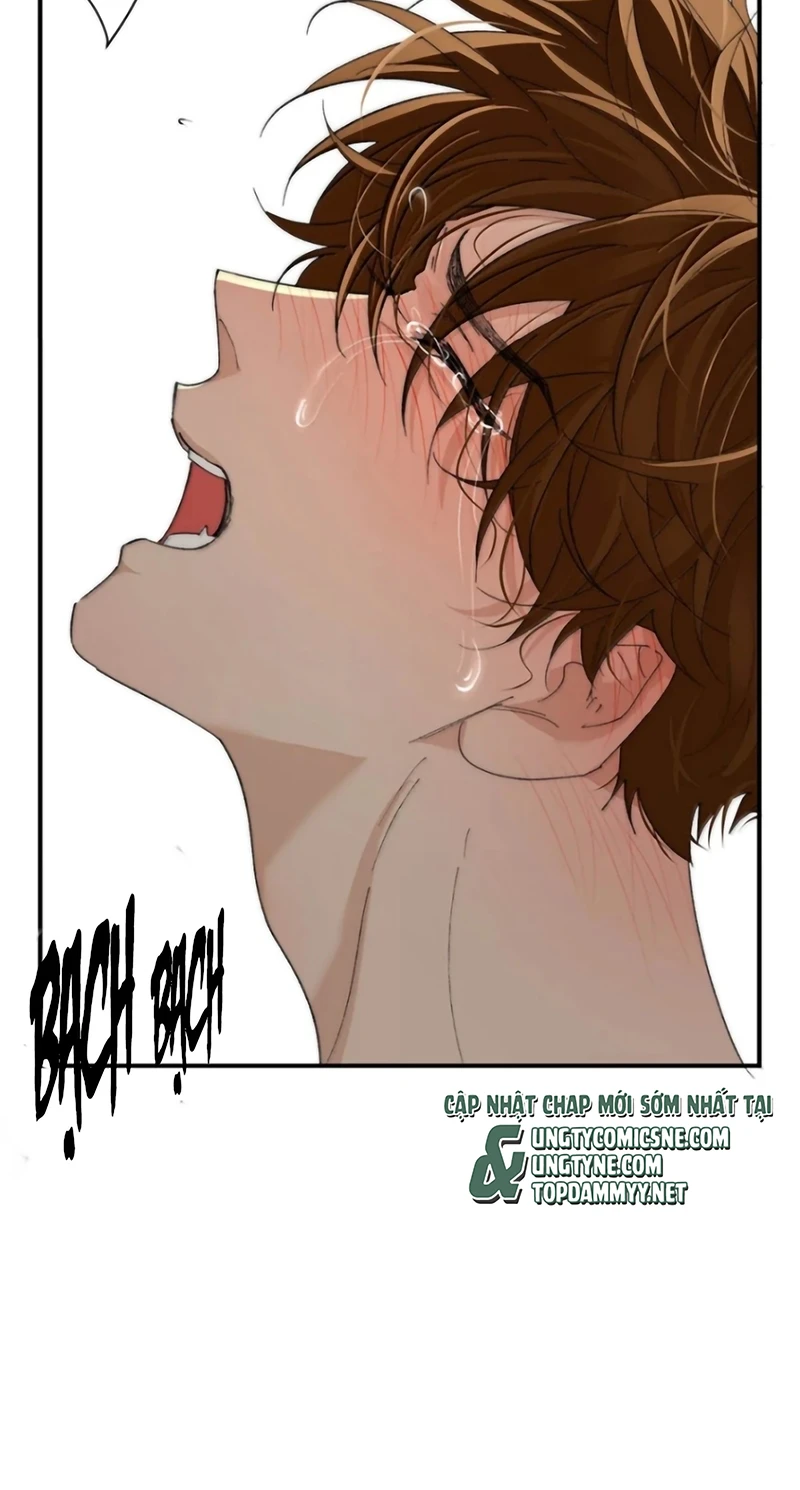 Ngày Nào Cũng Muốn Làm Vương Tủ Bệnh Kiều Phải Xấu Hổ Chapter 49 - 13