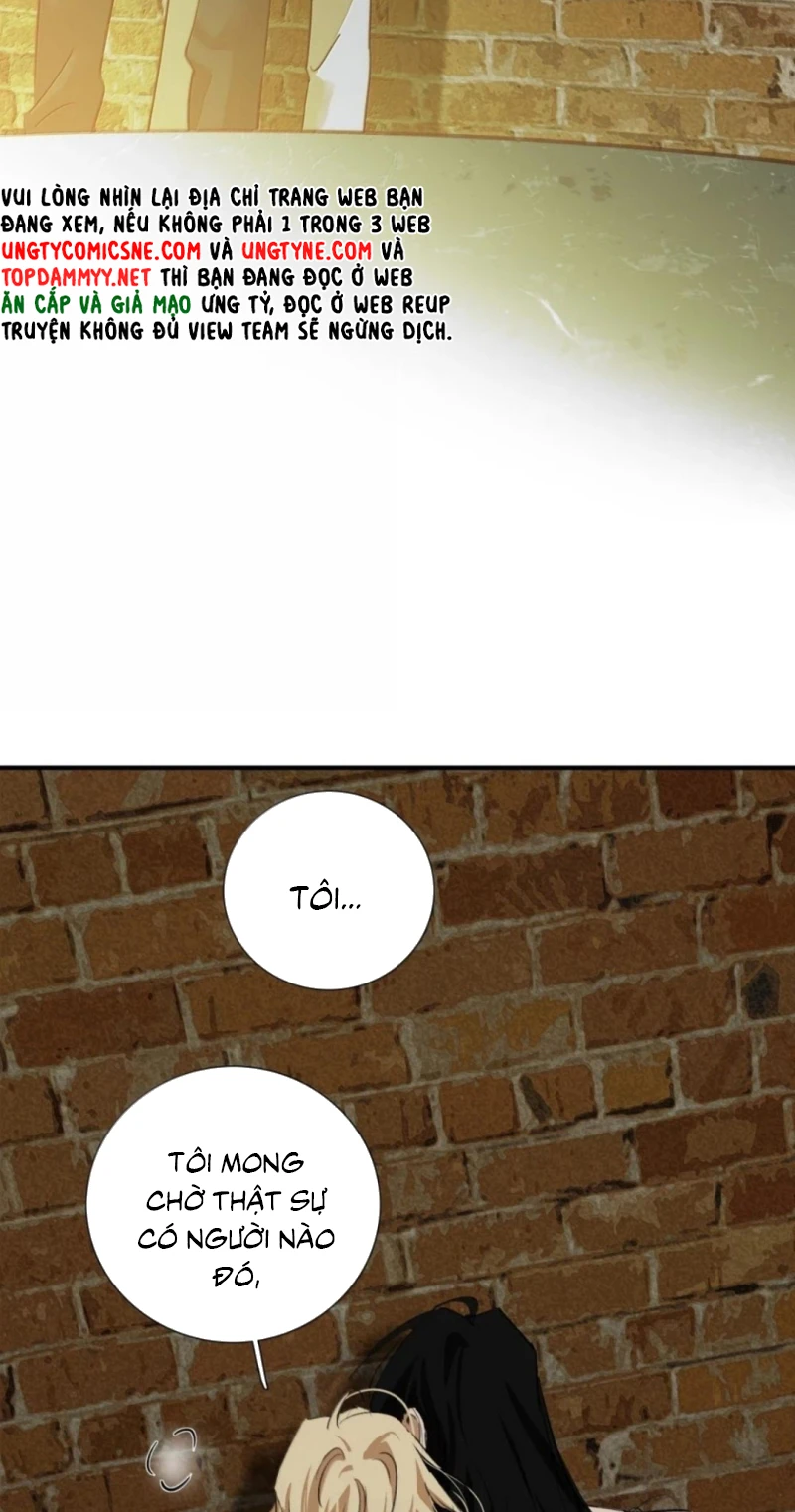 Mộ Viên Thu Sắc Chapter 36 - 39