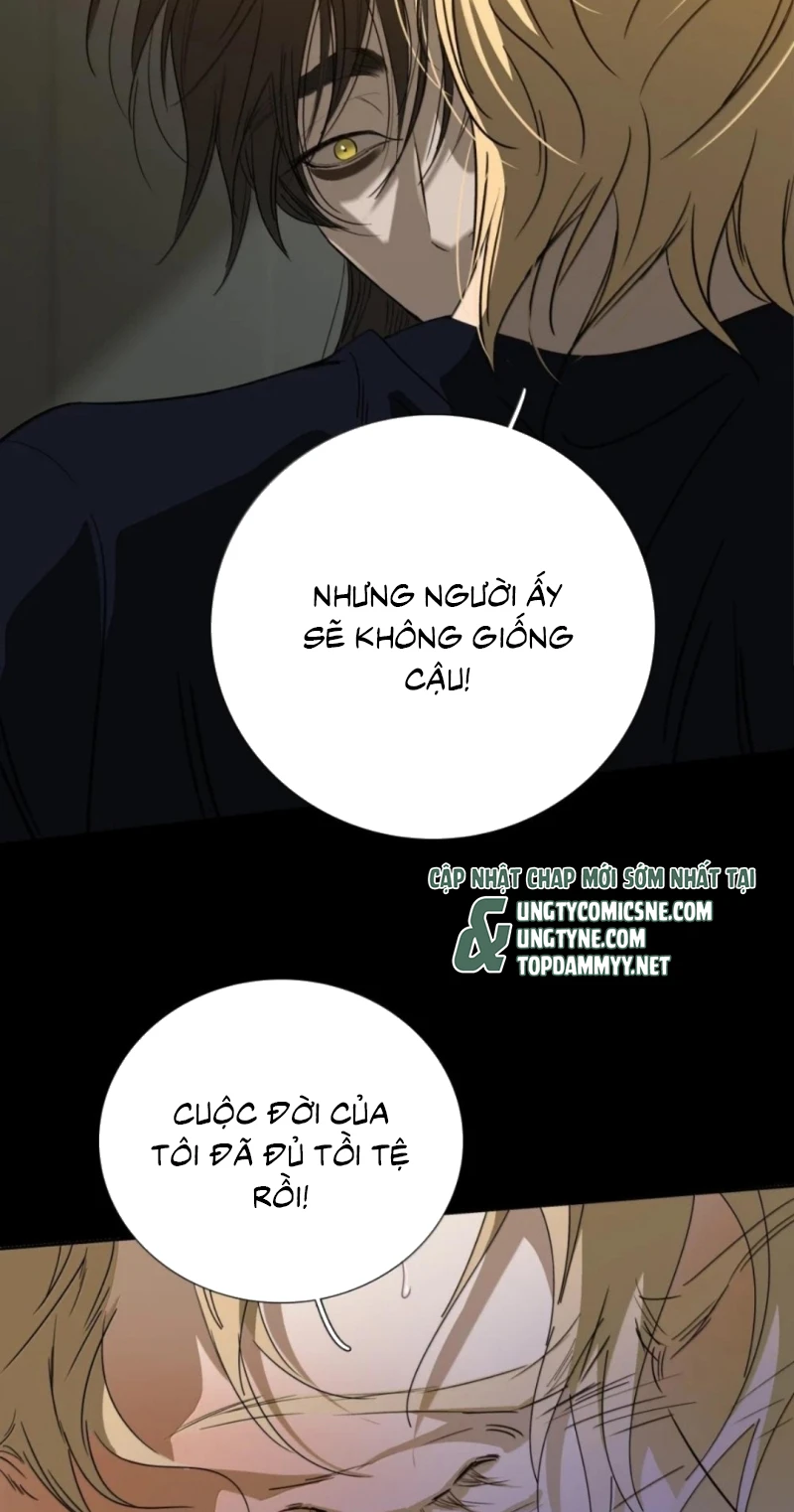 Mộ Viên Thu Sắc Chapter 36 - 41