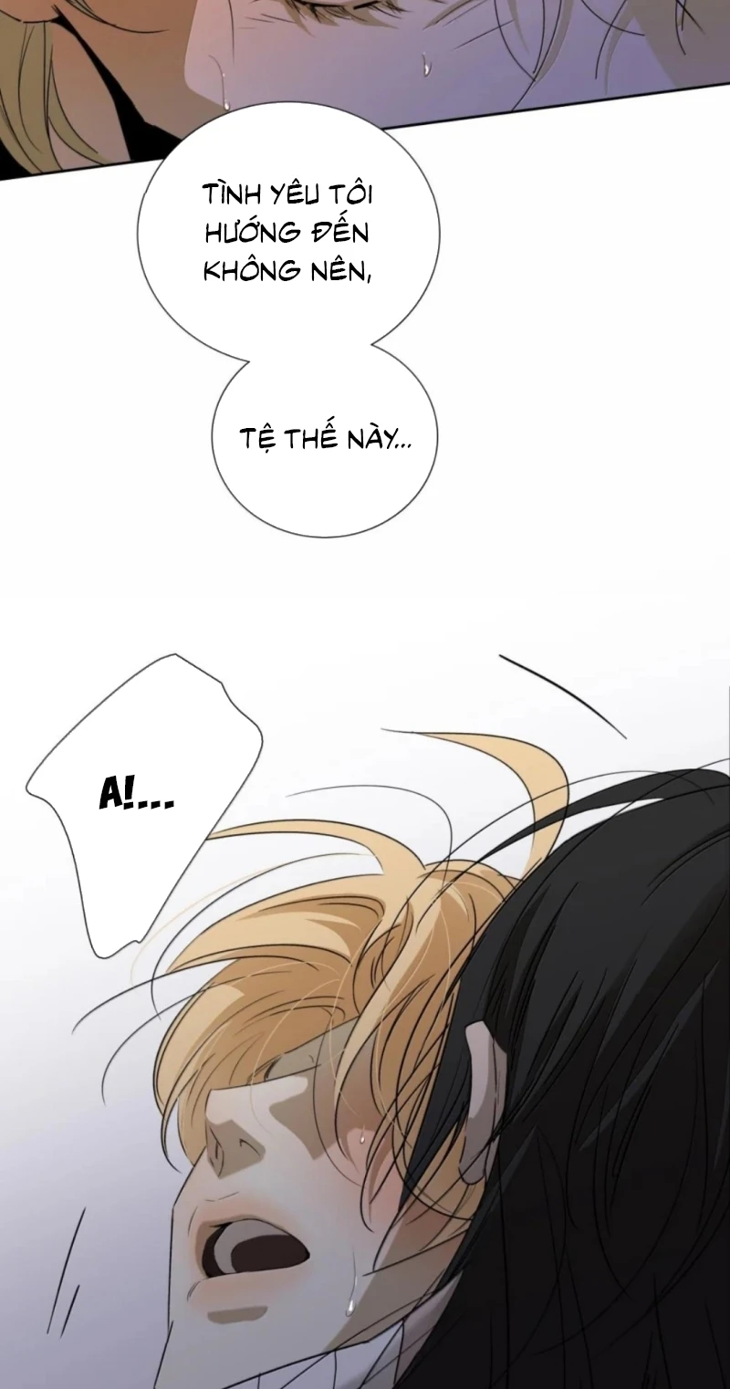 Mộ Viên Thu Sắc Chapter 36 - 42