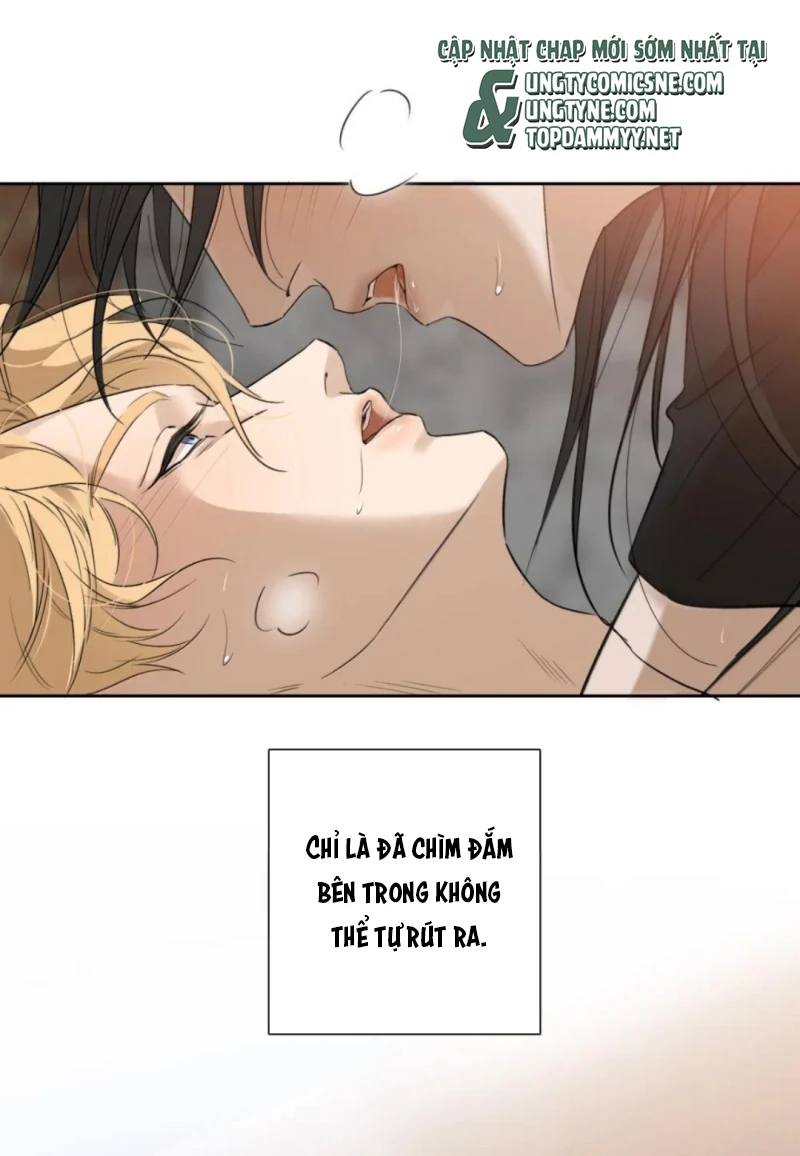 Mộ Viên Thu Sắc Chapter 40 - 36