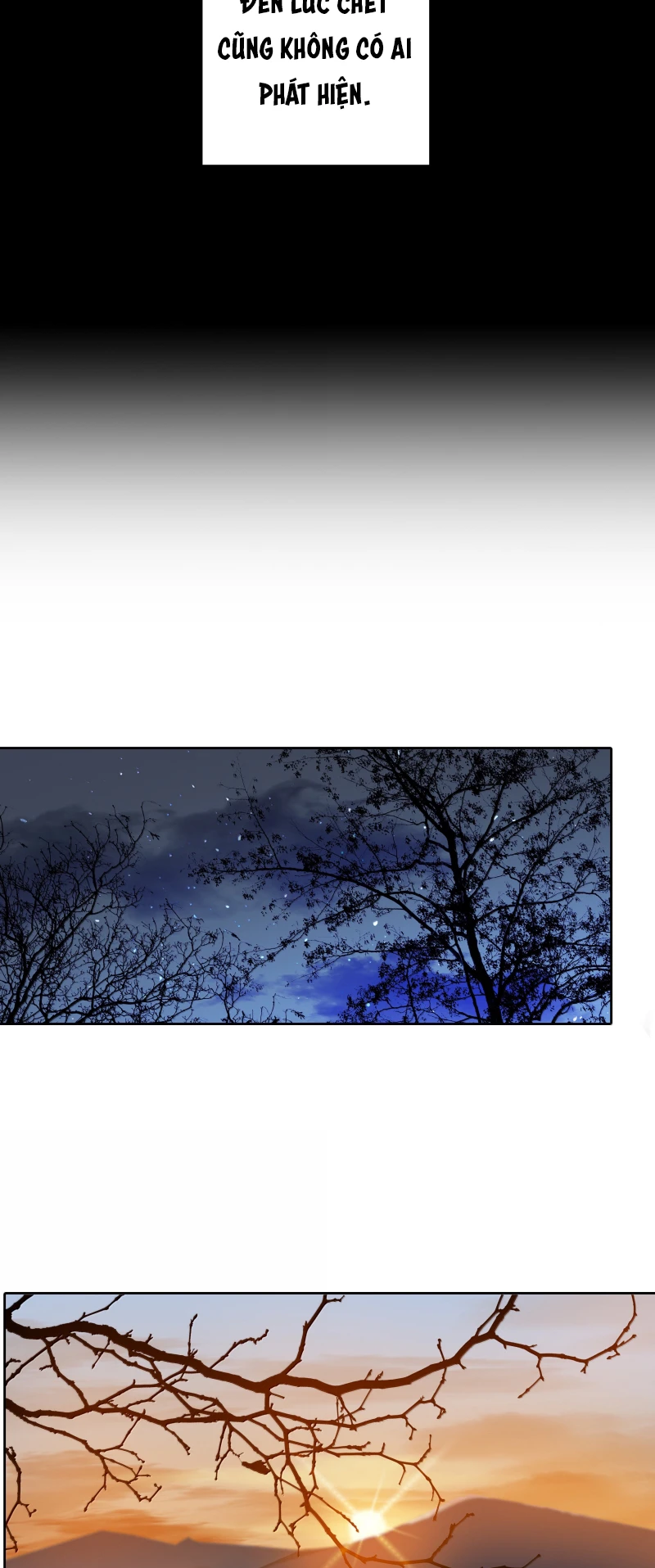 Mộ Viên Thu Sắc Chapter 51 - 13