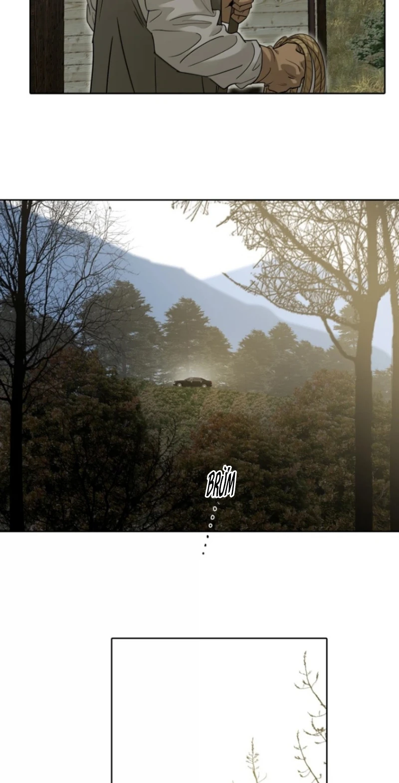 Mộ Viên Thu Sắc Chapter 52 - 6