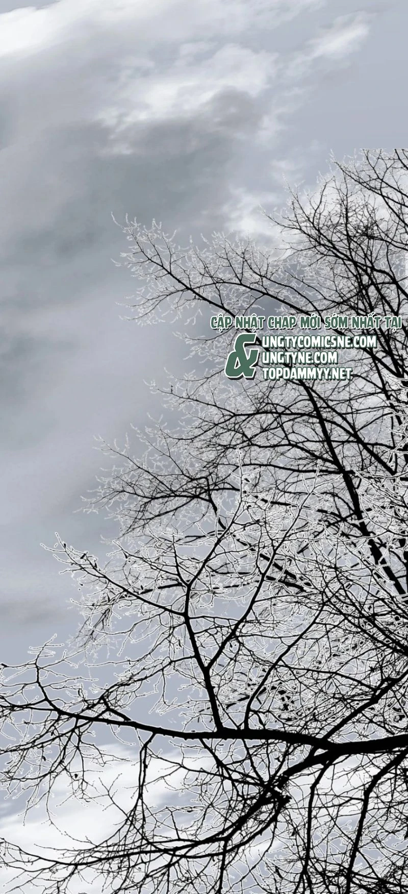 Mộ Viên Thu Sắc Chapter 56 - 10
