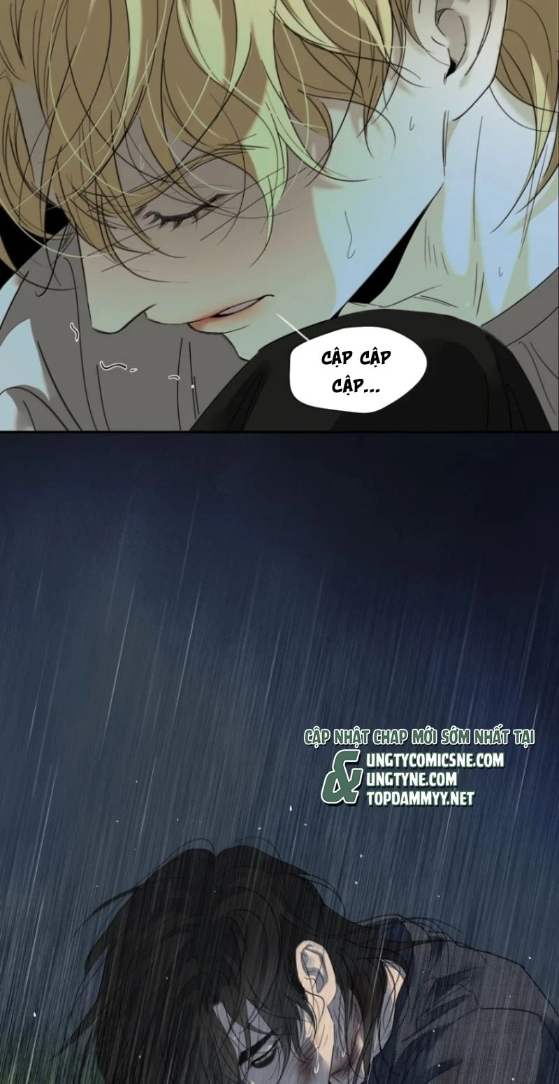 Mộ Viên Thu Sắc Chapter 56 - 36