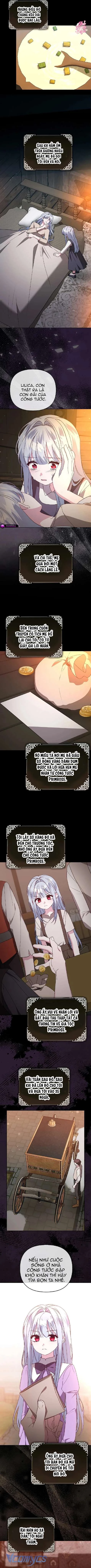 Ác Nữ Muốn Che Giấu Sự Giàu Sang Chapter 43 - 6