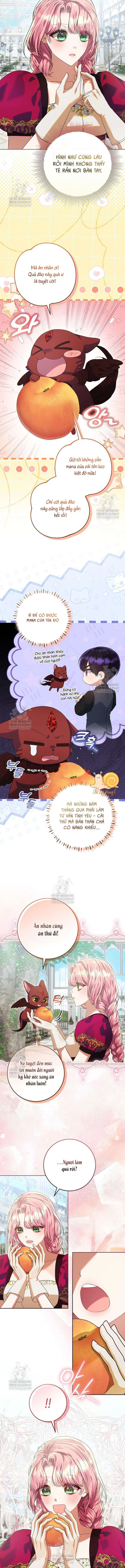 Tôi Đã Sẵn Sàng Để Ly Hôn Chapter  49 - 4