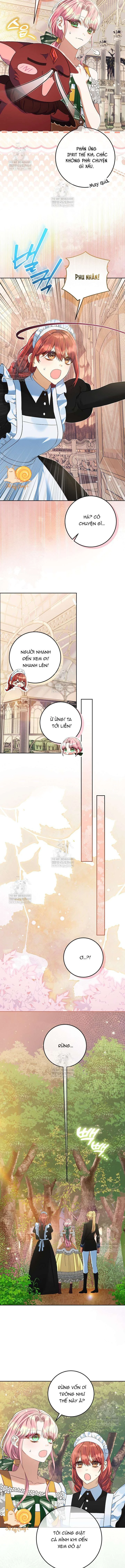 Tôi Đã Sẵn Sàng Để Ly Hôn Chapter  52 - 2