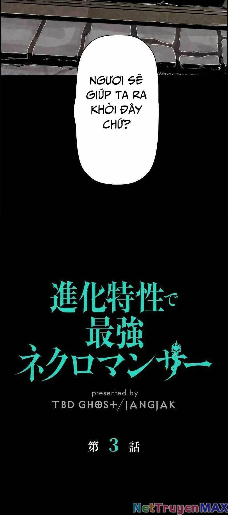 Đặc Tính Tiến Hóa Của Chiêu Hồn Sư Chapter 3 - 17