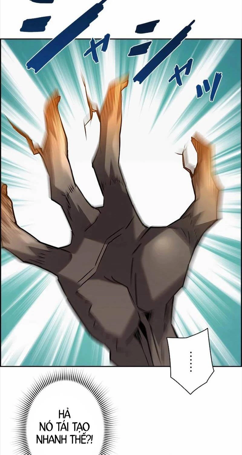 Đặc Tính Tiến Hóa Của Chiêu Hồn Sư Chapter 62 - 47