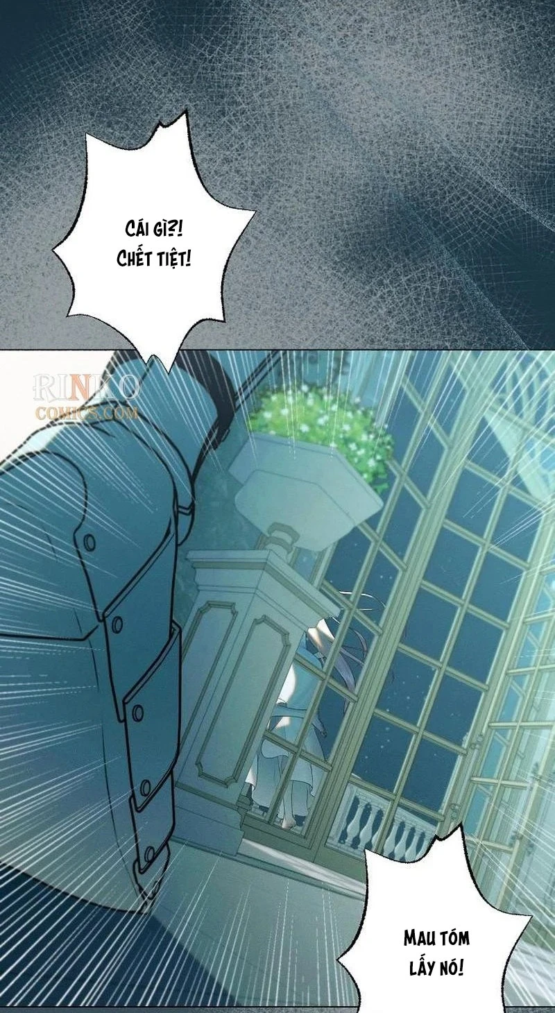 Chàng Tiên Cá Bị Giam Cầm Trong Hồ Nhà Tôi Chapter  39 - 28