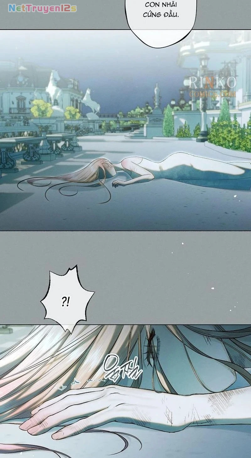 Chàng Tiên Cá Bị Giam Cầm Trong Hồ Nhà Tôi Chapter  39 - 32
