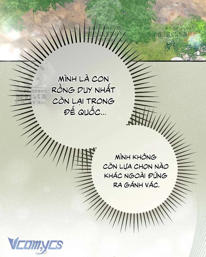 Các Nam Chính Đã Bị Nữ Phụ Cướp Mất Chapter 62 - 49