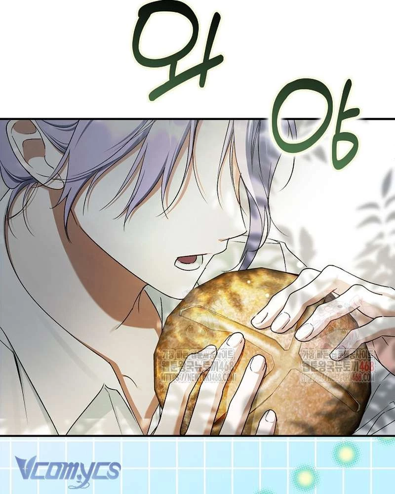 Các Nam Chính Đã Bị Nữ Phụ Cướp Mất Chapter 62 - 79