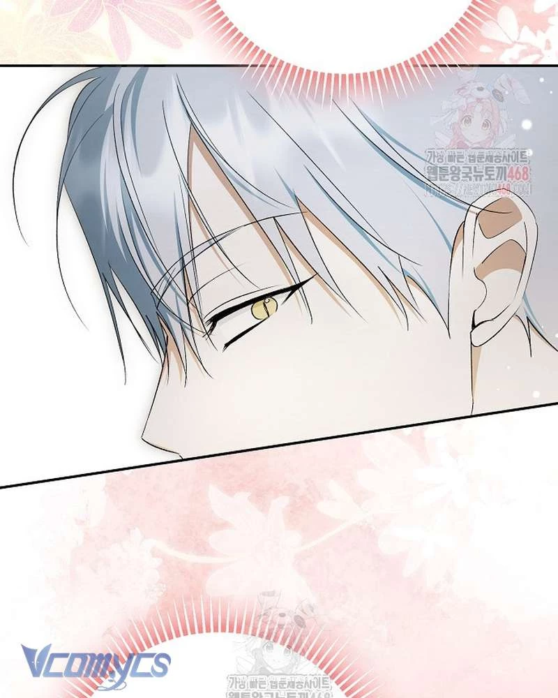 Các Nam Chính Đã Bị Nữ Phụ Cướp Mất Chapter 62 - 105