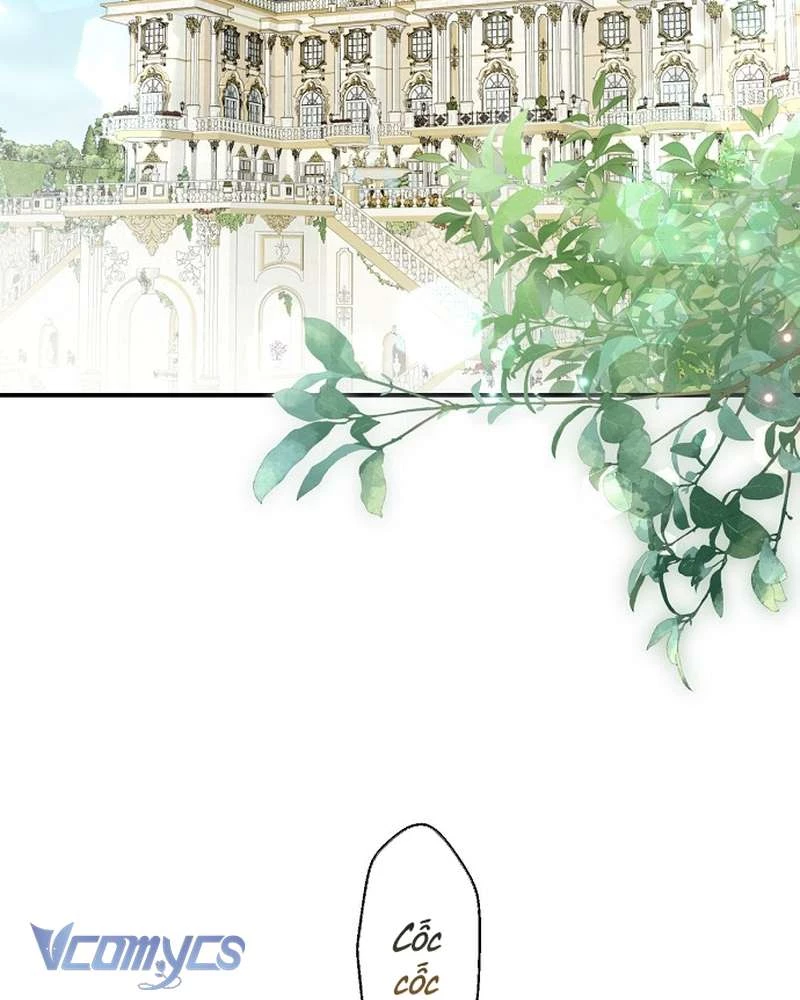 Các Nam Chính Đã Bị Nữ Phụ Cướp Mất Chapter 64 - 4