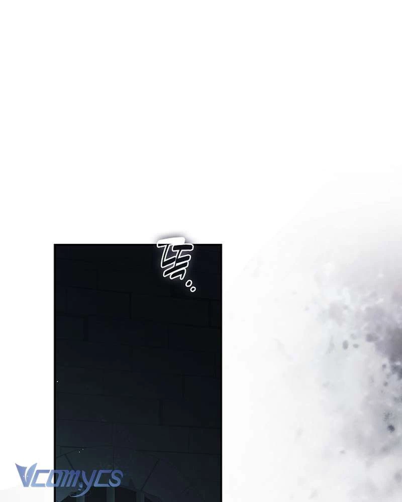 Các Nam Chính Đã Bị Nữ Phụ Cướp Mất Chapter 65 - 2