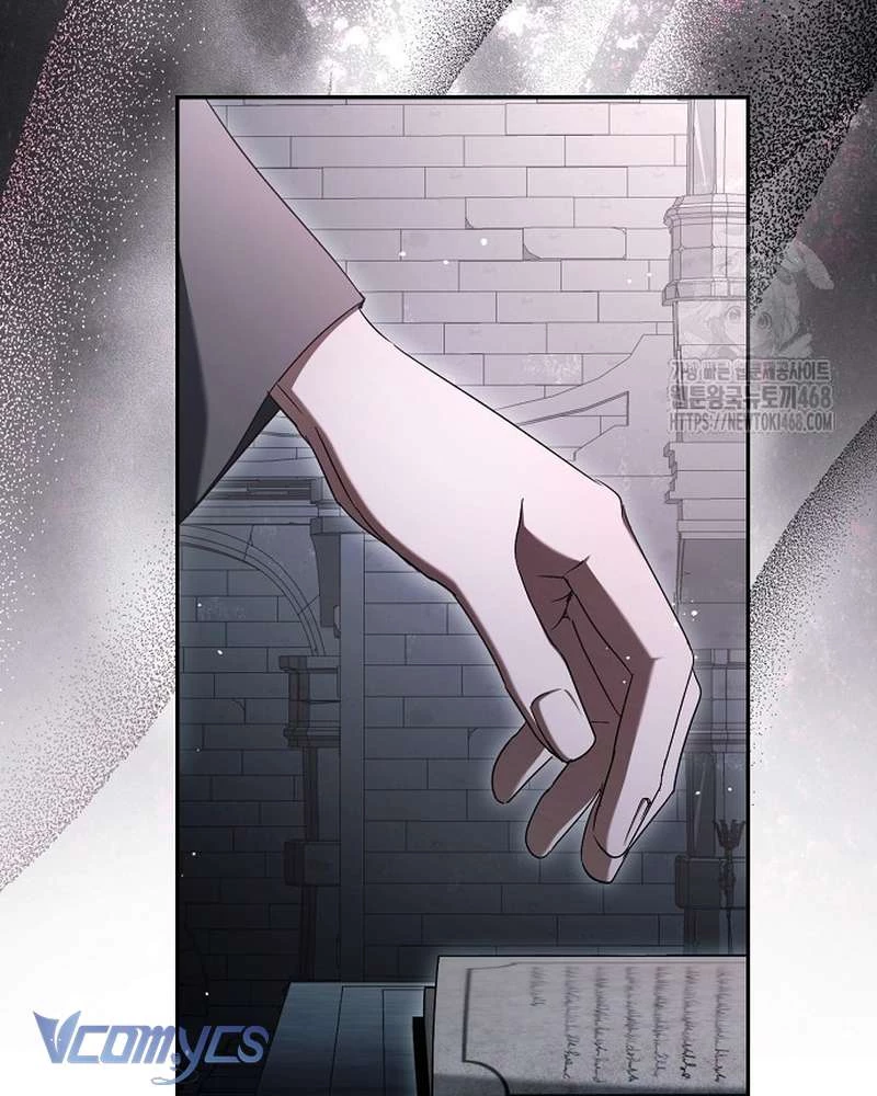 Các Nam Chính Đã Bị Nữ Phụ Cướp Mất Chapter 65 - 14