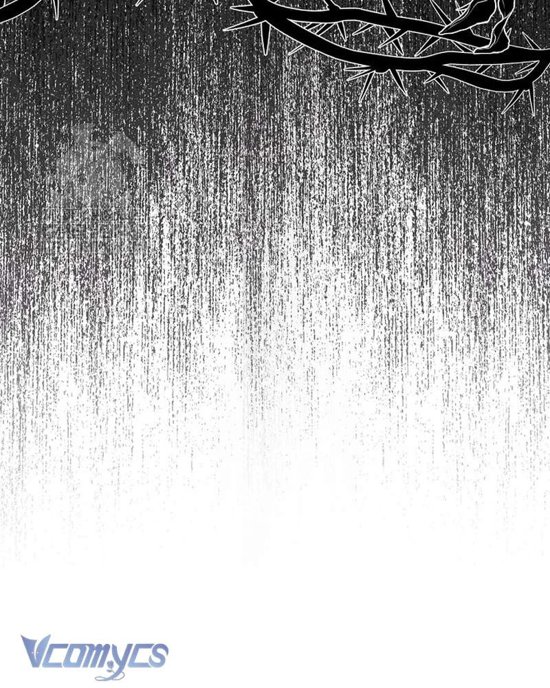 Các Nam Chính Đã Bị Nữ Phụ Cướp Mất Chapter 65 - 19