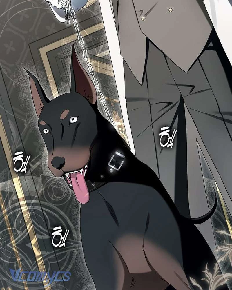 Các Nam Chính Đã Bị Nữ Phụ Cướp Mất Chapter 65 - 44