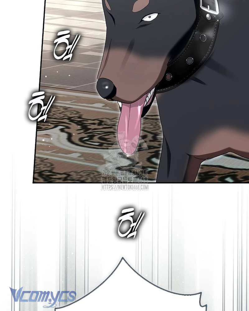 Các Nam Chính Đã Bị Nữ Phụ Cướp Mất Chapter 65 - 59