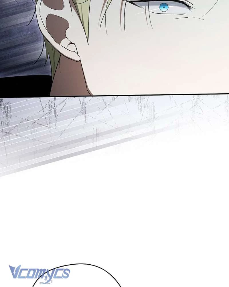 Các Nam Chính Đã Bị Nữ Phụ Cướp Mất Chapter 65 - 88