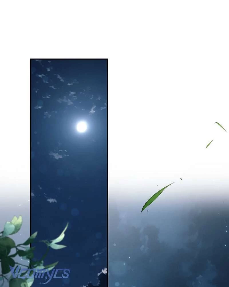 Các Nam Chính Đã Bị Nữ Phụ Cướp Mất Chapter 66 - 2