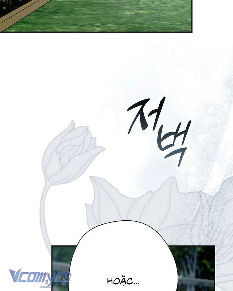 Các Nam Chính Đã Bị Nữ Phụ Cướp Mất Chapter 66 - 46