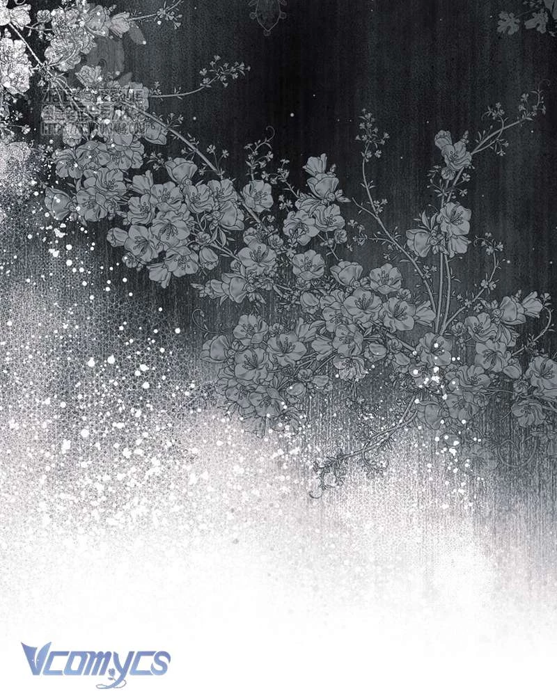 Các Nam Chính Đã Bị Nữ Phụ Cướp Mất Chapter 66 - 63