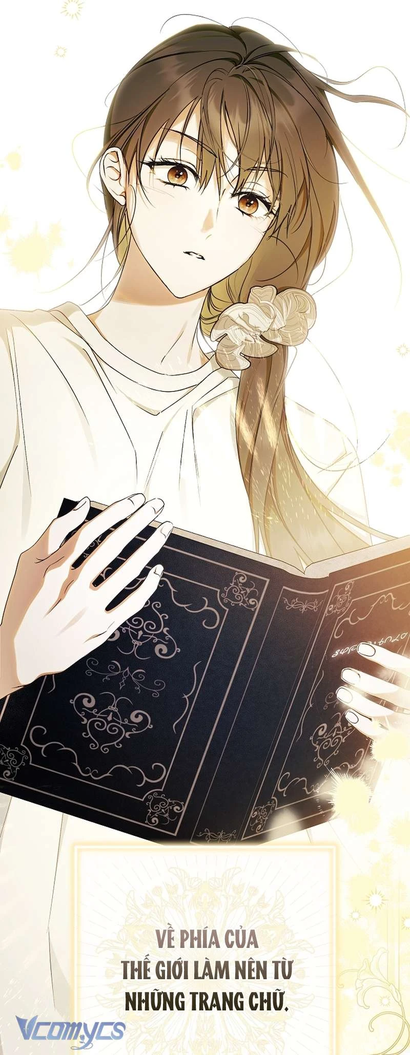 Các Nam Chính Đã Bị Nữ Phụ Cướp Mất Chapter  71 - 138