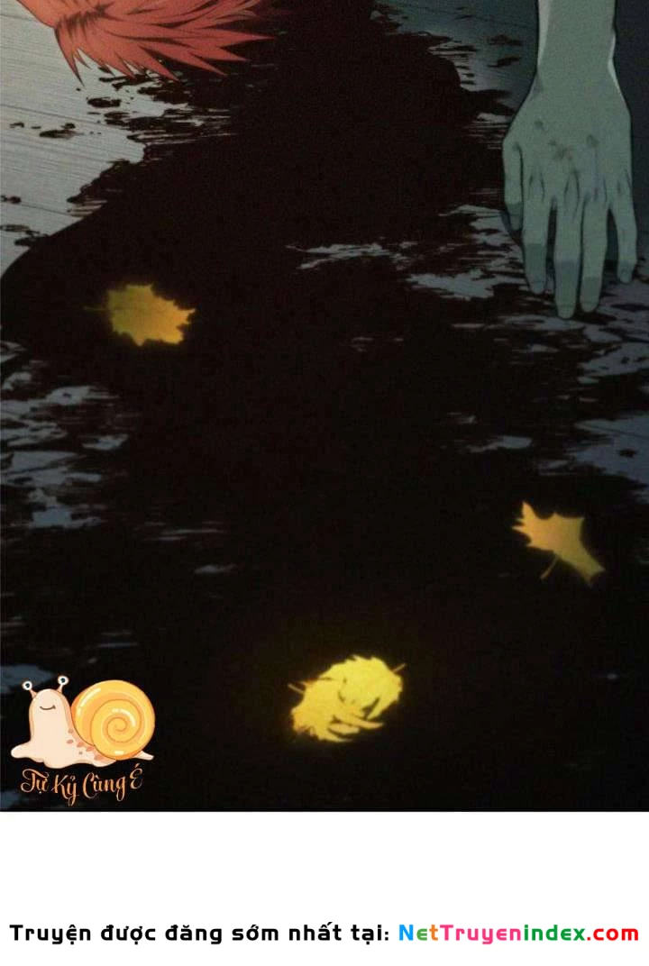 Sát Thủ Áo Đỏ Chapter 33 - 258