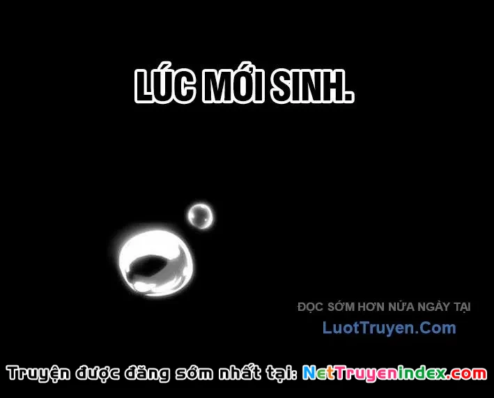 Thiên Ma Giáo Chapter 39 - 64