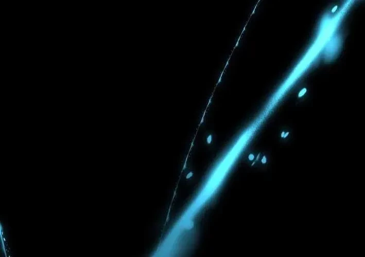 Thiên Ma Giáo Chapter 39 - 79