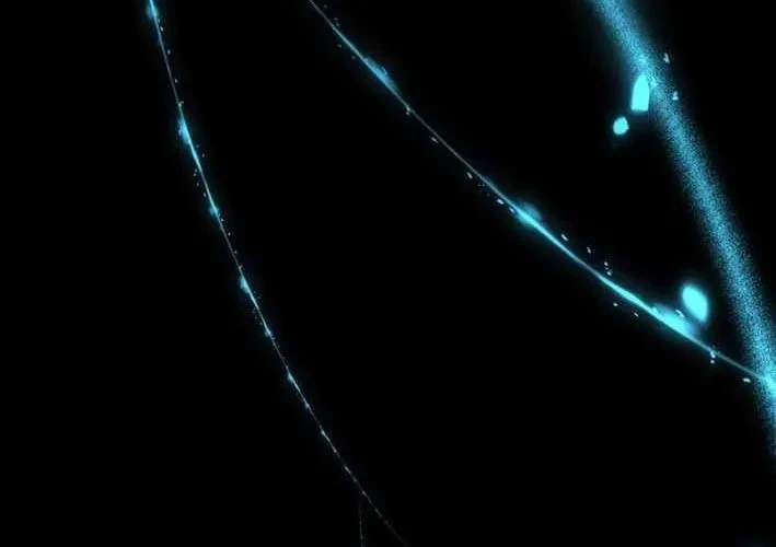 Thiên Ma Giáo Chapter 39 - 85