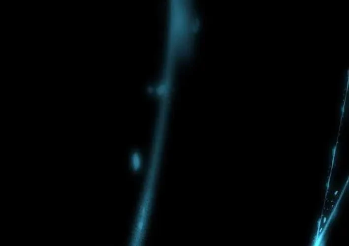 Thiên Ma Giáo Chapter 39 - 87