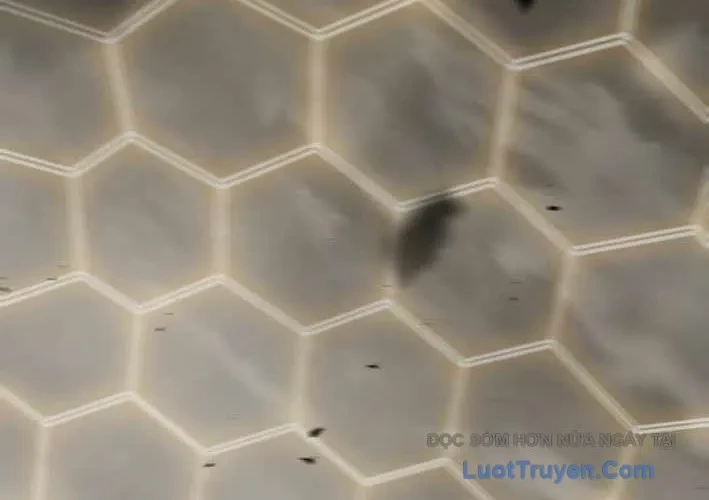 Thiên Ma Giáo Chapter 40 - 329