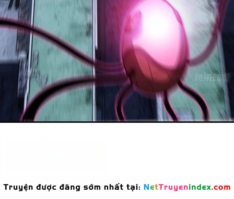 Trùng Sinh Tại Thế Giới Tu Chân, Ta Giết Tới Đỉnh Chapter 42 - 73